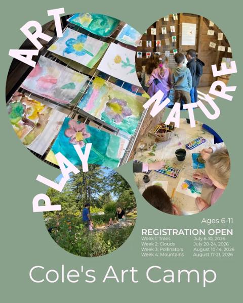 Cole's Art Camp: Mountains